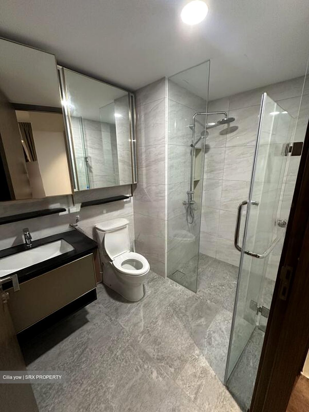 Normanton Park (D5), Apartment #499068891